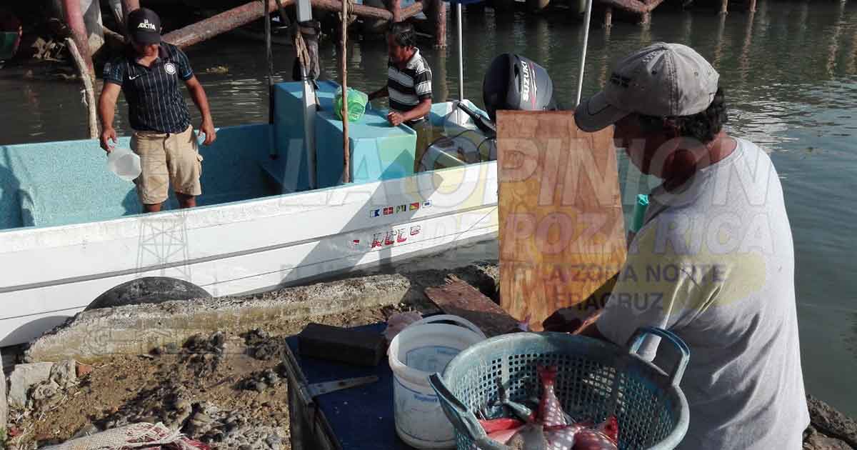 “Candados” a pescadores para acceder a los apoyos federales