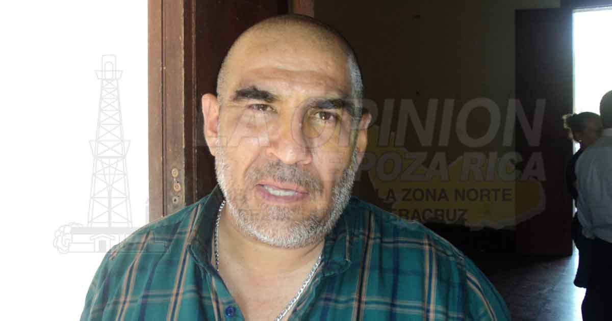 Imprescindible fomentar el consumo de miel