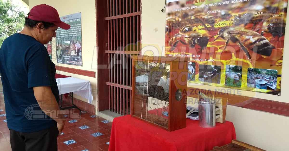 Imprescindible fomentar el consumo de miel