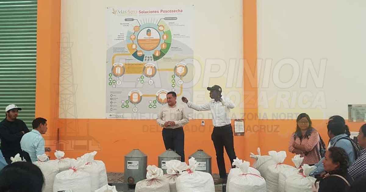 Reducen pérdida en cosechas de granos