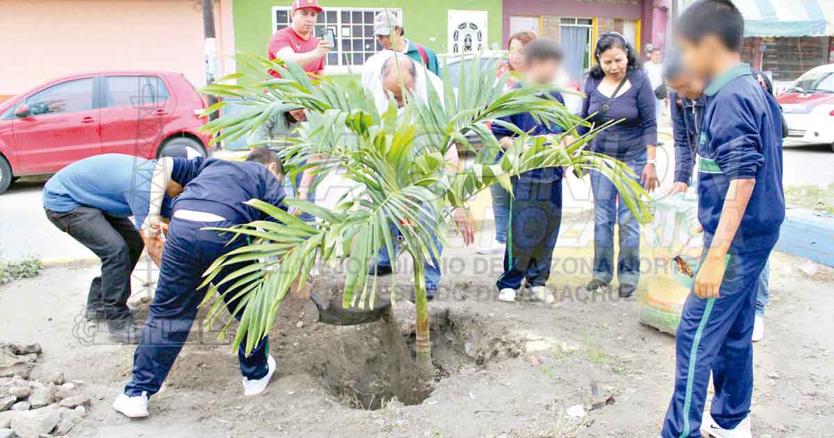 Reforestan Poza Rica