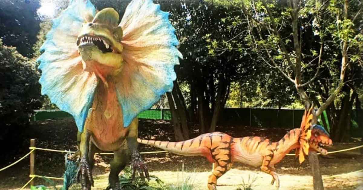 ¡Viaja a una tierra jurásica con esta expo de dinosaurios!