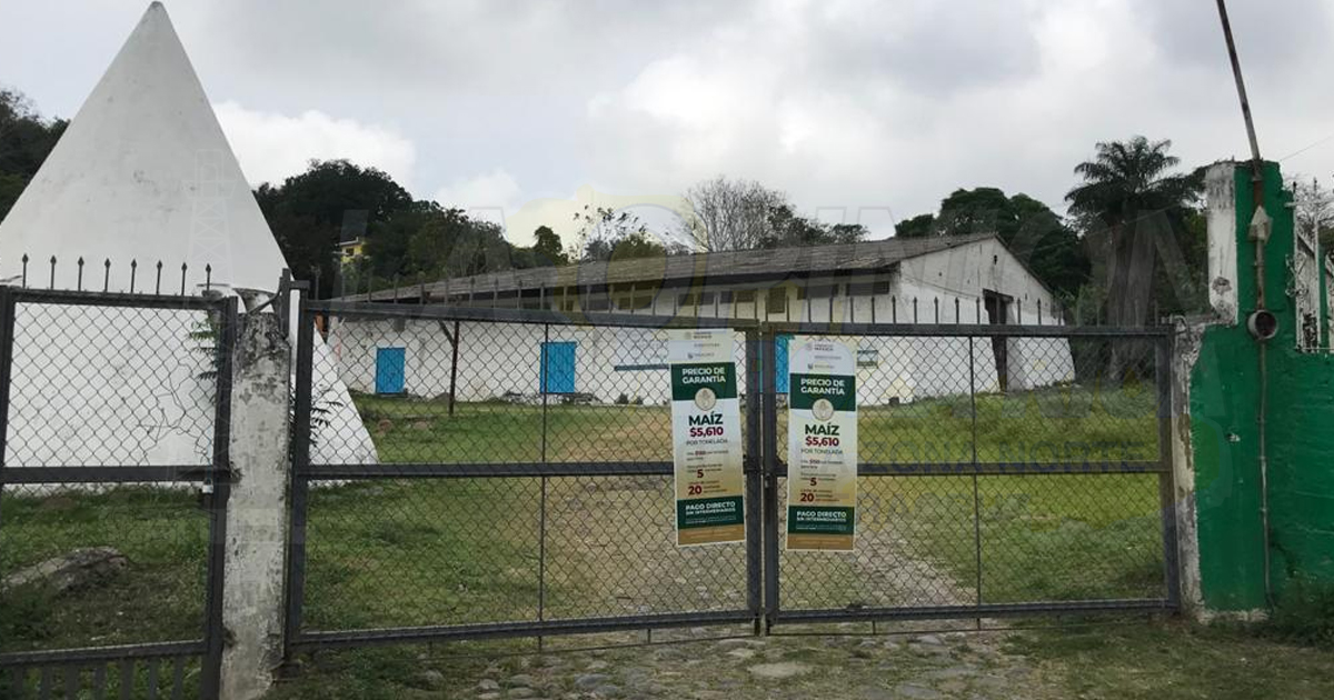 La producción de maíz se tendrá que comercializarse a nivel local