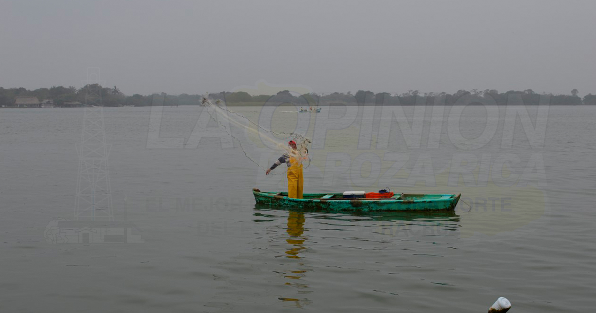 Pesca, la opción para sobrevivir