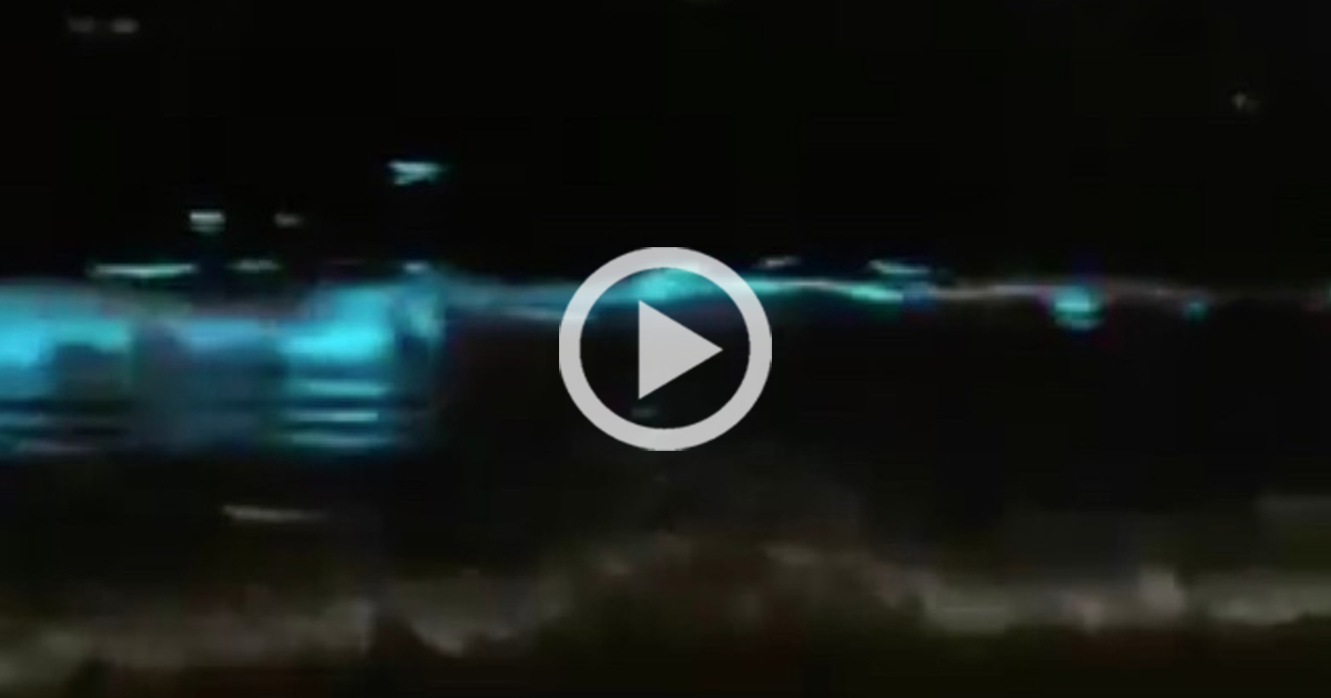 Captan fenómeno de bioluminiscencia en playas de Acapulco