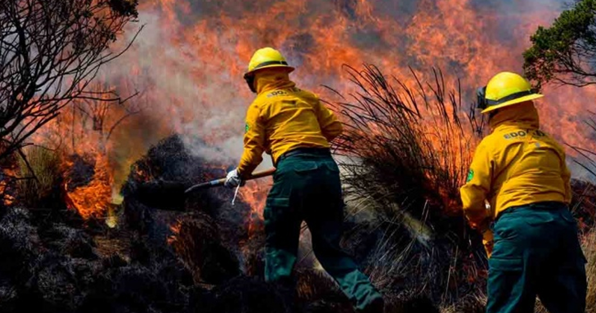 Suman ya 57 incendios forestales en el país
