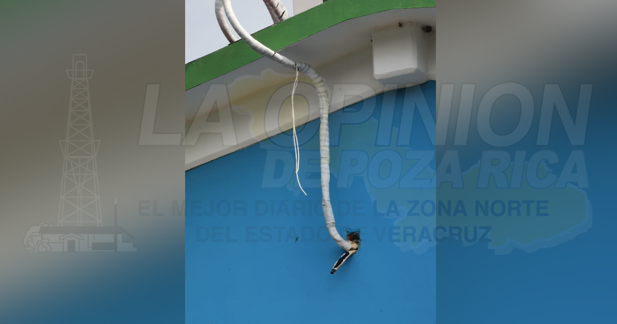 Roban el cableado eléctrico de la Primaria Claudio Cortes Castro