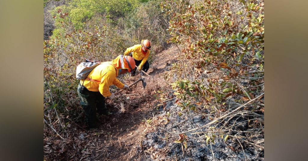 Incontrolables incendios en la entidad