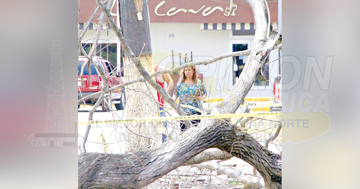 Azotan vientos la zona norte