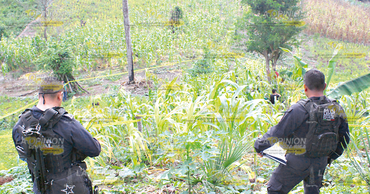 Albañil se suicida en una milpa