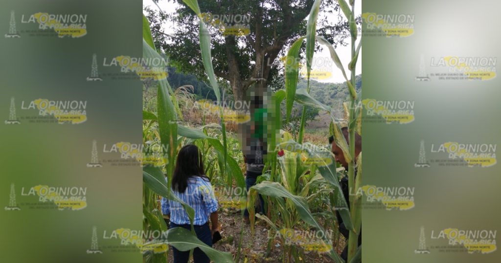 Lo encontraron colgado de un árbol en Poza Rica