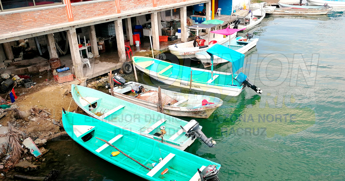 Urge apoyo gubernamental a pescadores