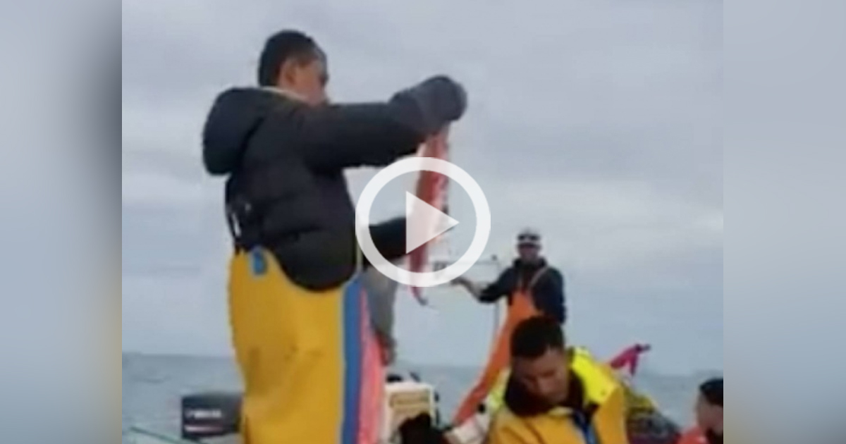 A pesar de embargo y Covid-19, continúa pesca ilegal de totoaba