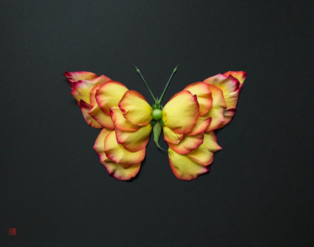 Las vibrantes composiciones florales de Raku Inoue