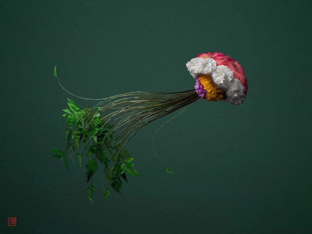 Las vibrantes composiciones florales de Raku Inoue