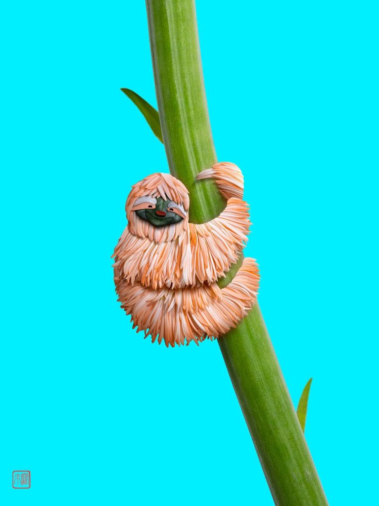 Las vibrantes composiciones florales de Raku Inoue