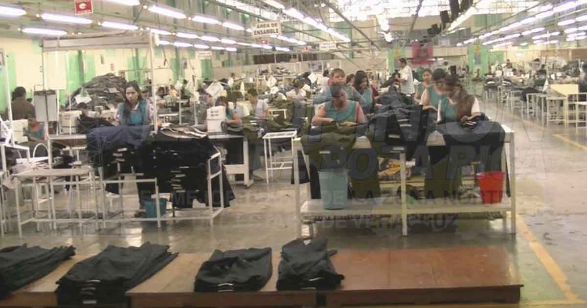 Trabajadores denuncian despidos