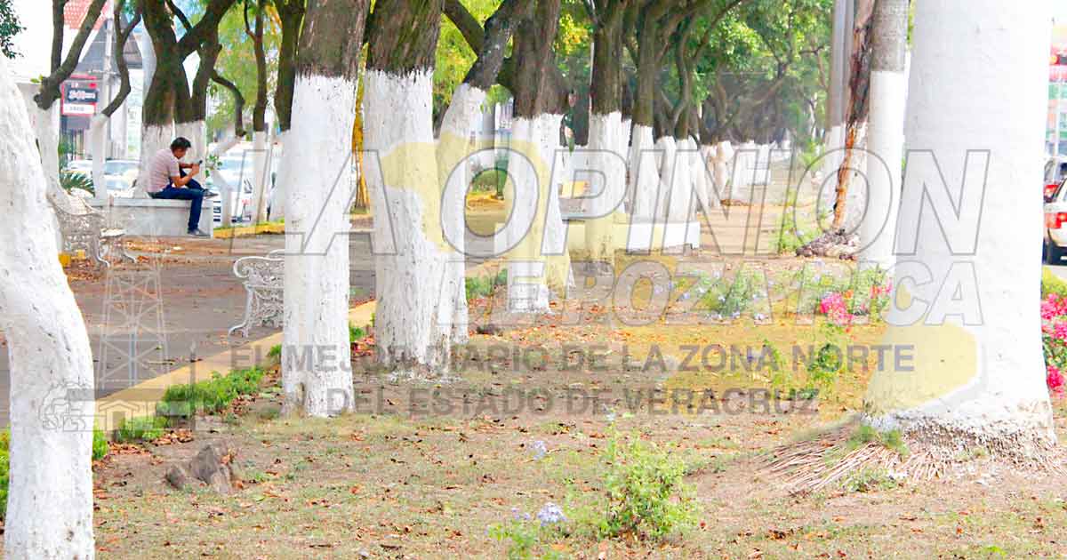 Funcionará sistema de riego en bulevar