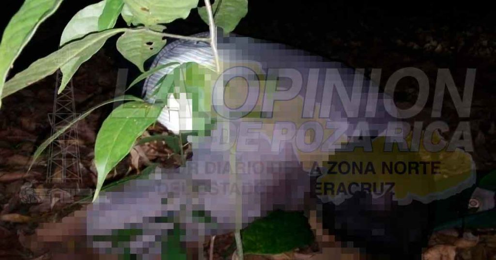 Hallan muerto a un albañil en una parcela de Panorama, Coyutla