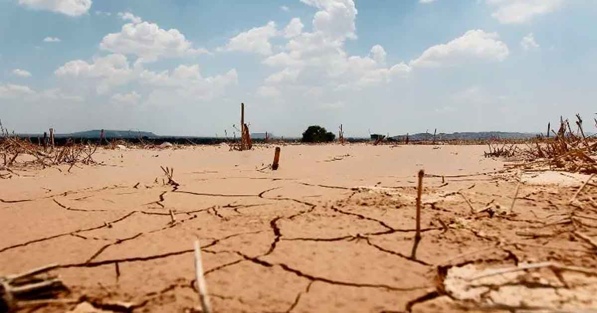 "Inicia emergencia por sequía severa", informa Conagua
