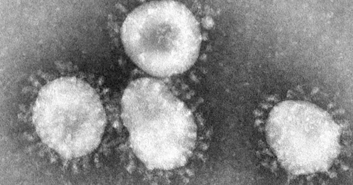 Muere en EE.UU. un bebé de seis semanas con Coronavirus, la víctima más joven