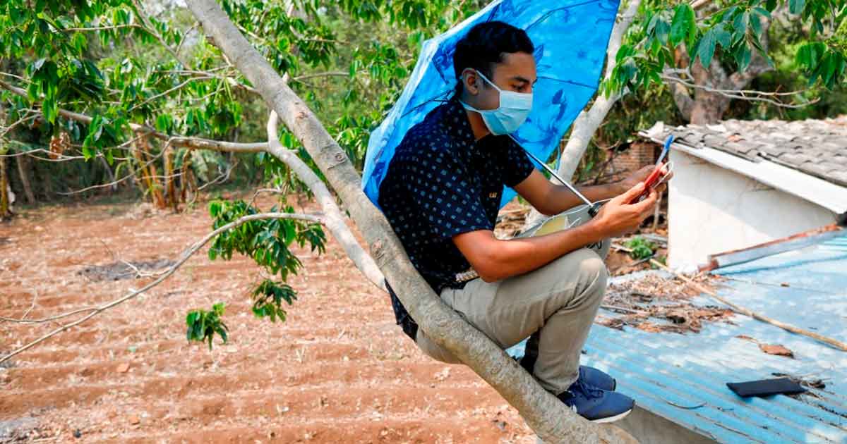 Joven salvadoreño sube a la copa de un árbol para no perder sus clases virtuales