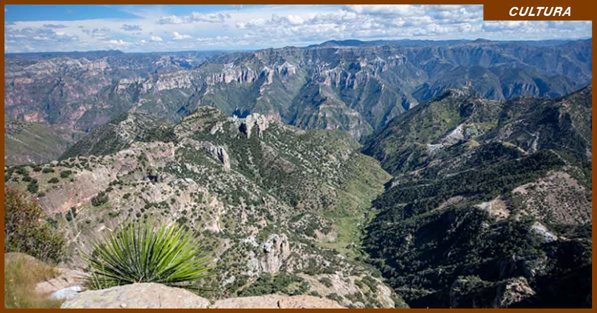 La Sierra Tarahumara es un tesoro de la biodiversidad en México