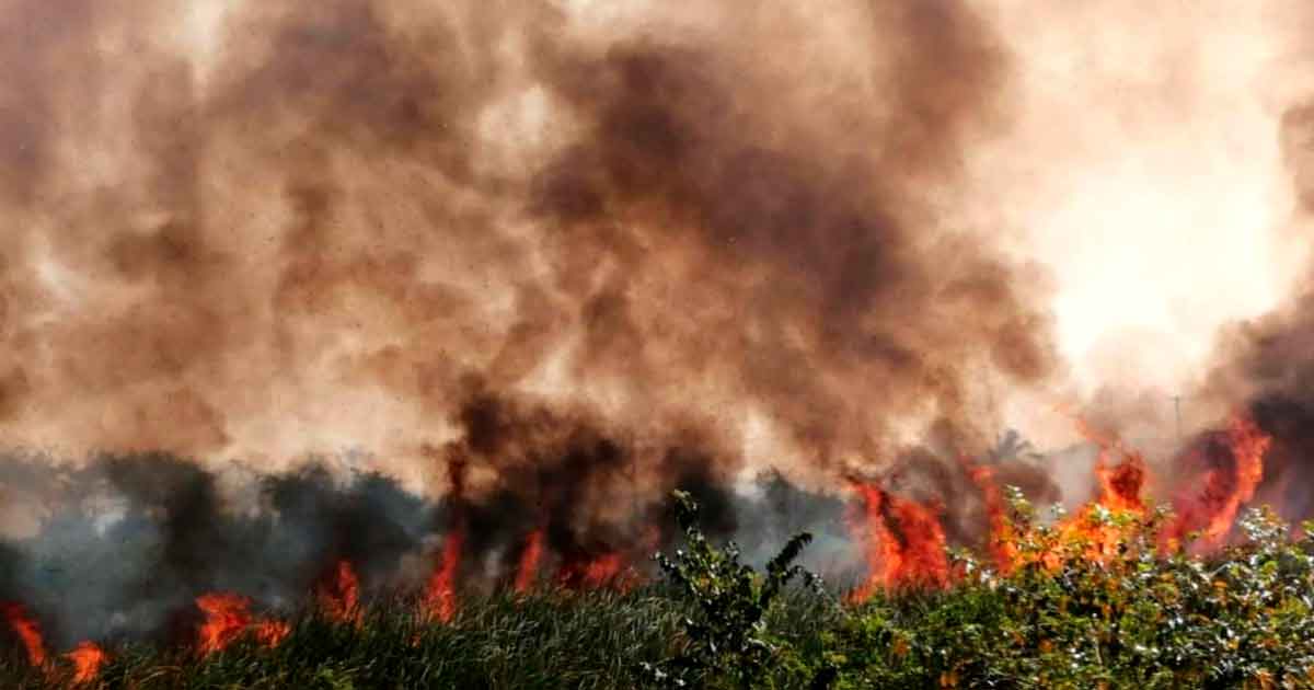Lanza PC alerta por incendios