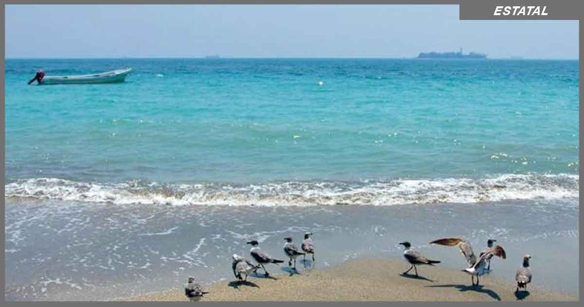 Mar de Veracruz luce un hermoso color turquesa durante cuarentena por Covid-19