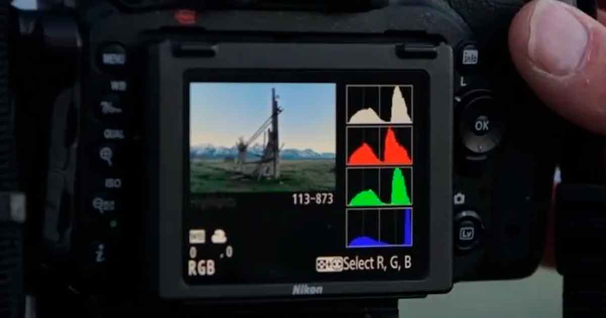 Nikon ofrece cursos de fotografía gratis en línea