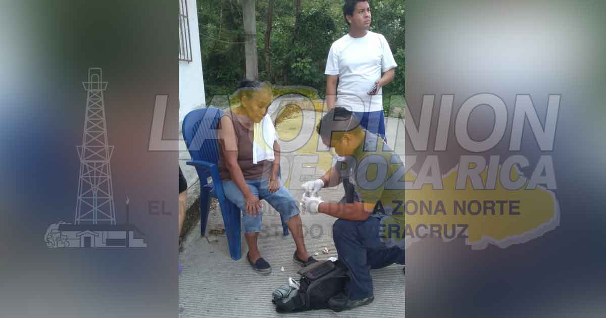 Perros atacan a una señora