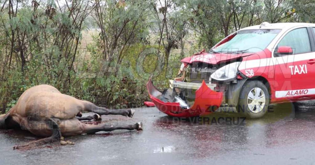 Destruyó su taxi contra un caballo