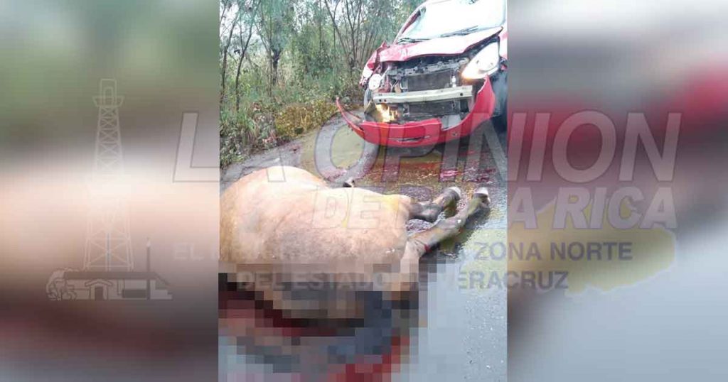 Destruyó su taxi contra un caballo