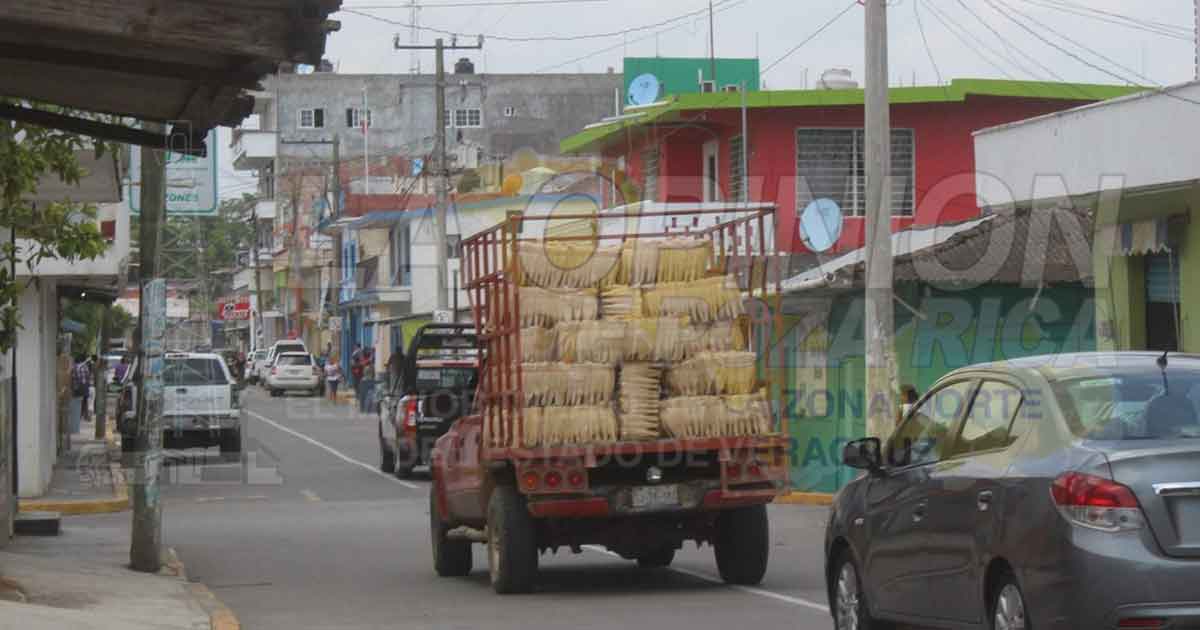Sube precio de la hoja de maíz, el kilo cuesta cincuenta pesos