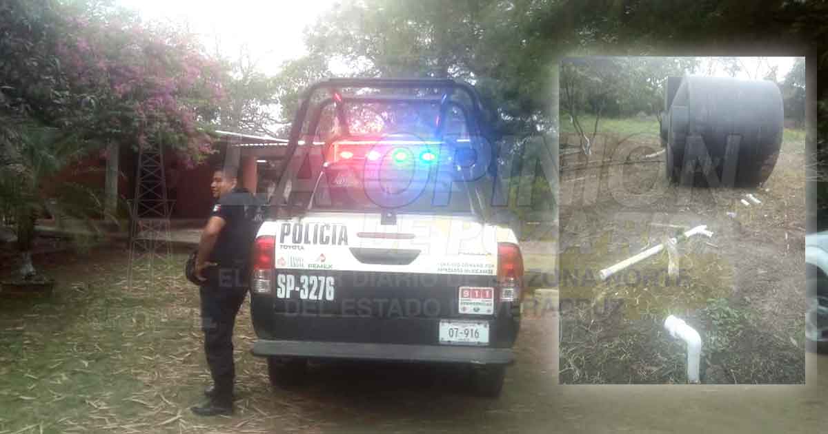 Fuerte robo en vivero de Sembrando Vida, en Cazones