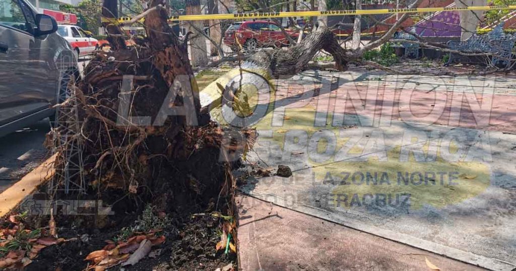 Fuerte tormenta eléctrica azotó la región