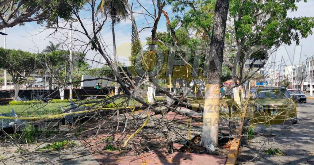 Fuerte tormenta eléctrica azotó la región