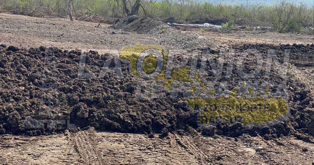 ¡Resurgen las quejas contra Bachoco!