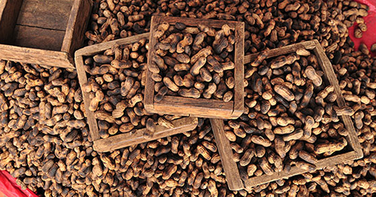 Mazapán de metate, el dulce sabor de Guanajuato