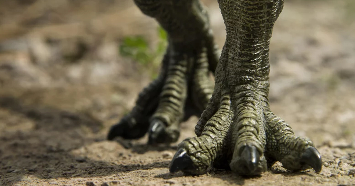 Conoce al dinosaurio más extraño de la prehistoria: tiene pico, púas y era aterrador