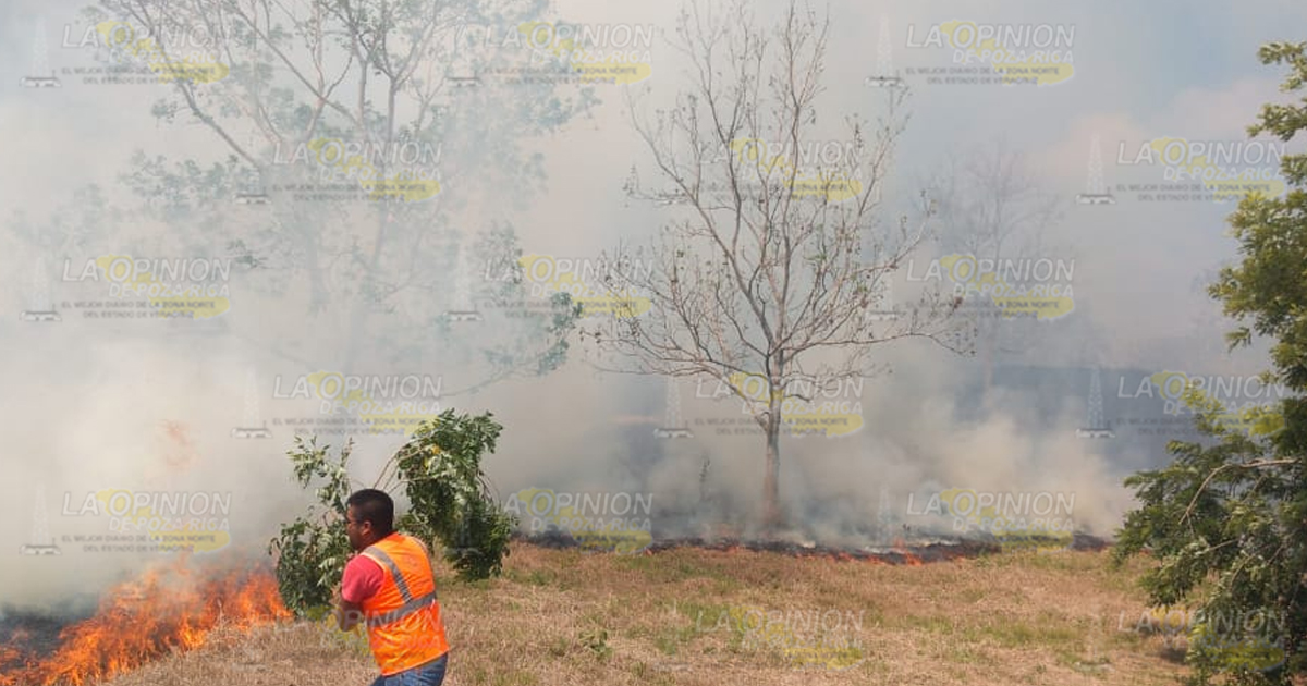 Arden cinco hectáreas de potrero con pasto para ganado, en Cazones