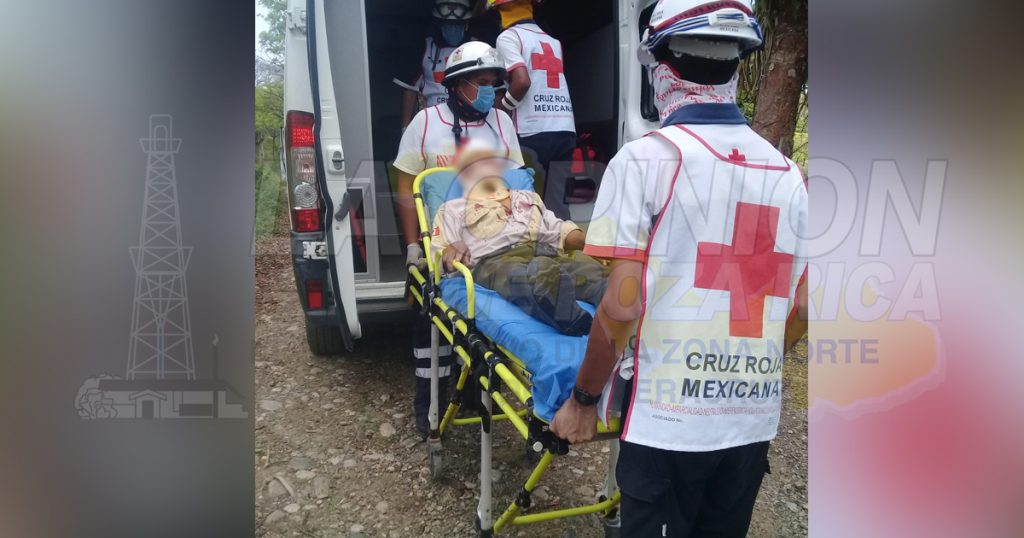 Campesino de Chinampa lesionado al caerle la rama de un árbol