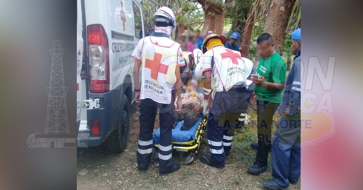 Campesino de Chinampa lesionado al caerle la rama de un árbol