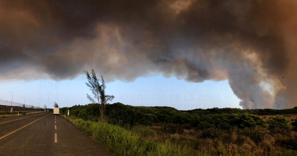 ¡Arden 45 hectáreas de pastizal!