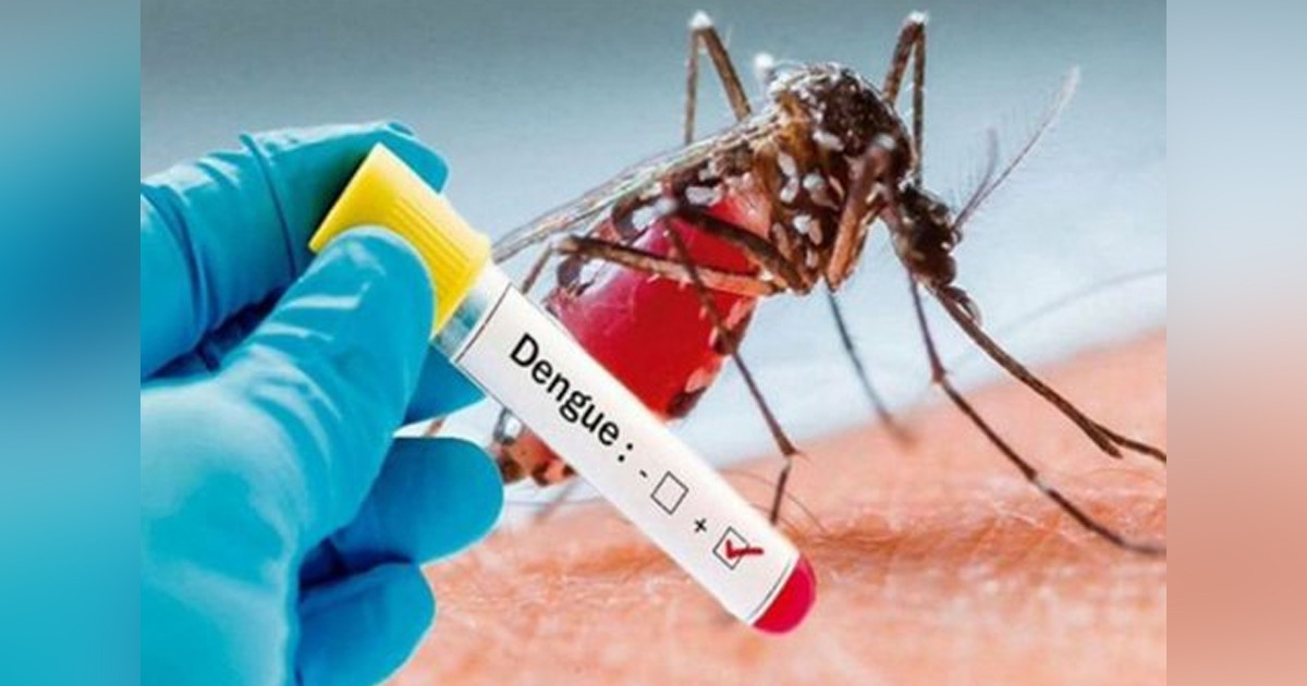 Se salvan del Covid... pero no del dengue; 43 casos en una semana