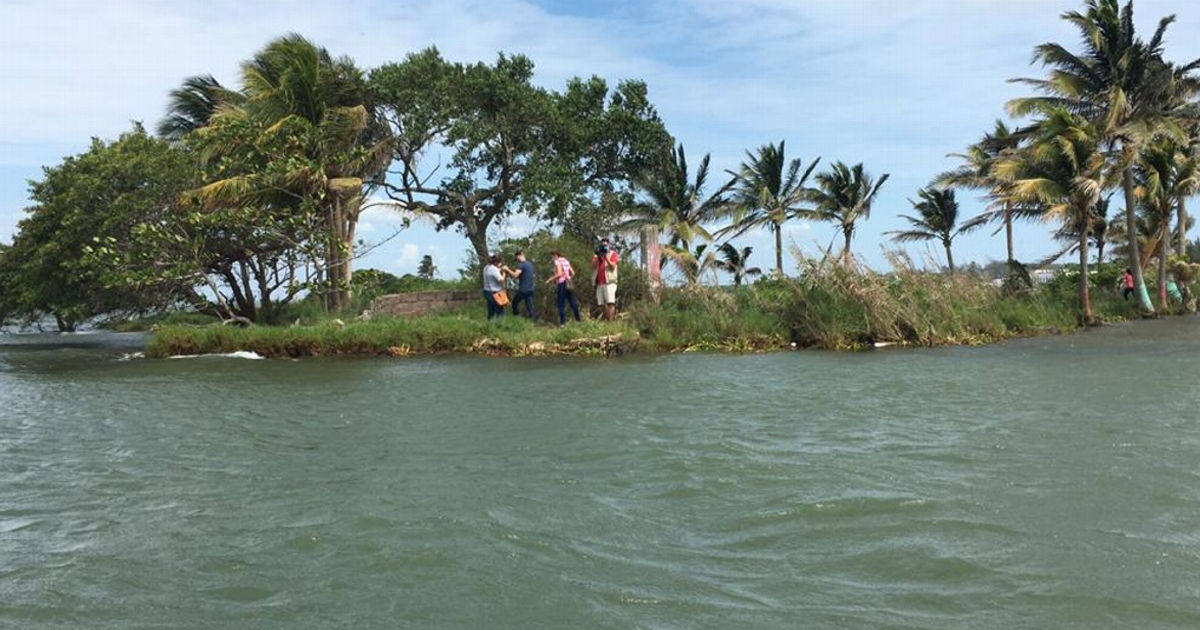Realizan segundo rescate de mascotas abandonadas en "La Isla de los Perros" en Alvarado, Veracruz