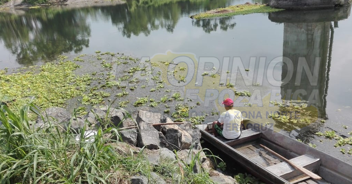 Desaparecen más especies del río Tuxpan