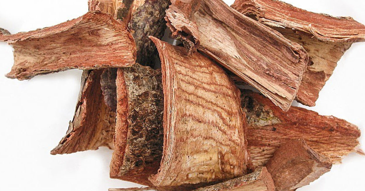 Cuachalalate, beneficios y propiedades