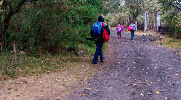 Curso remedial: Qué es y cómo se evaluará a los alumnos