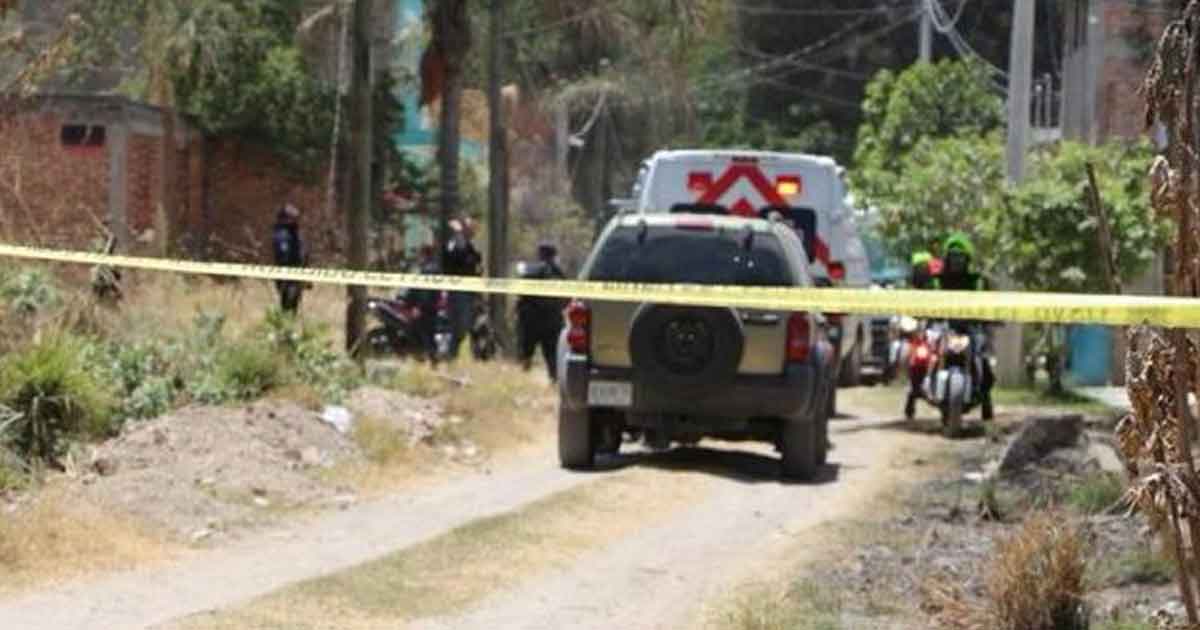 Perro encuentra fosa clandestina en Jalisco: hay por lo menos 25 cuerpos
